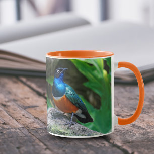 Tasse Un Superbe Songbird Starling Africain