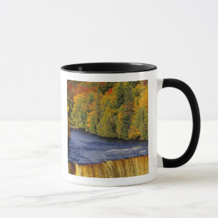 Tasse Upper Tahquamenon Falls dans le Michigan en amont