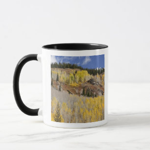 Tasse USA, Colorado, Gunnison National Forest, le long