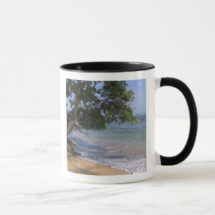 Tasse USA, Hawaï, Kauai, plage pittoresque. RF)