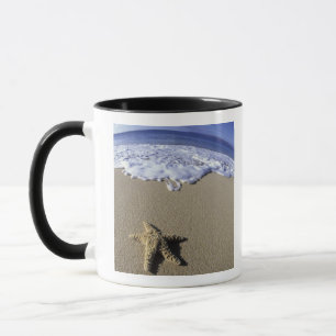 Tasse USA, Hawaii, Maui, Makena Beach, Starfish et