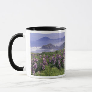 Tasse USA, Oregon, Nesika Beach. Lupine et Oregon