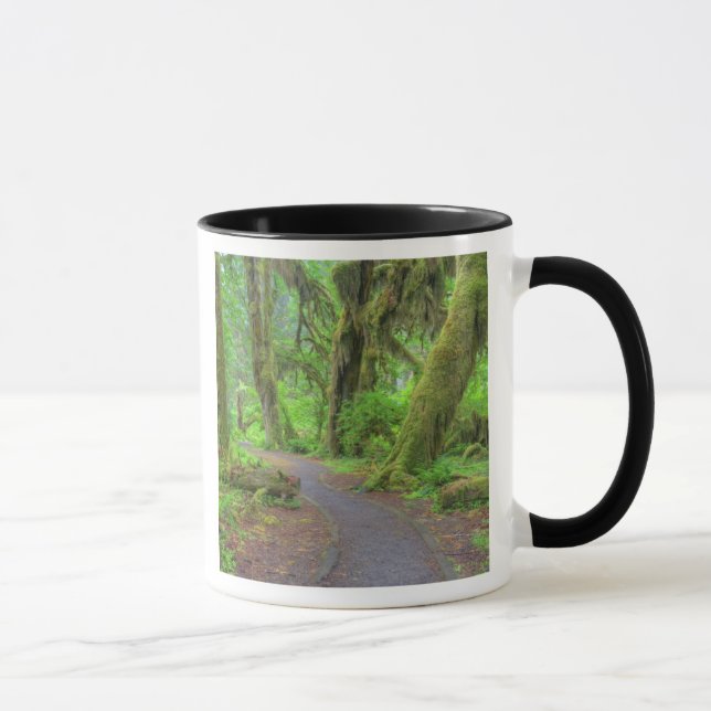 Tasse USA, Washington, Olympic National Park, Hoh Rain (Droite)
