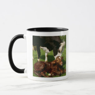 Tasse Vache et veau nouveau-né