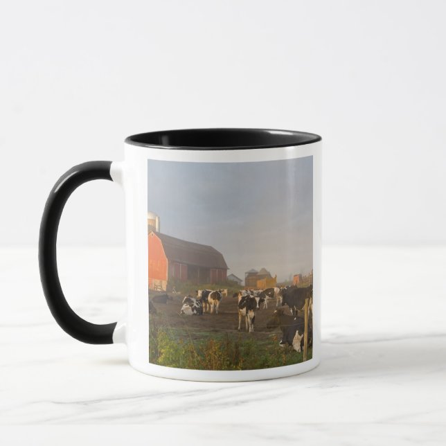 Tasse Vaches laitières Holstein à l'extérieur d'une gran (Gauche)