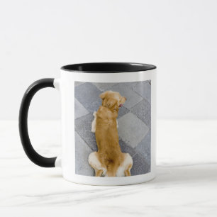 Tasse Venise, Italie