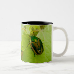 Tasse verte de scarabée de juin