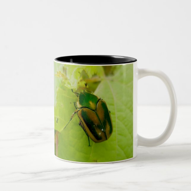 Tasse verte de scarabée de juin (Droit)