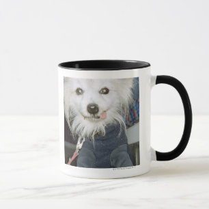 Tasse Vêtements de port d'un chien blanc