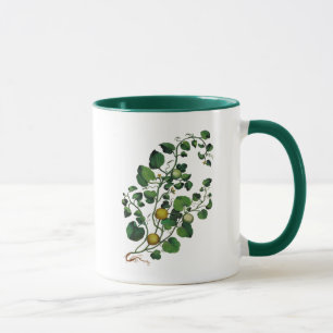 Tasse Vigne de courge 4