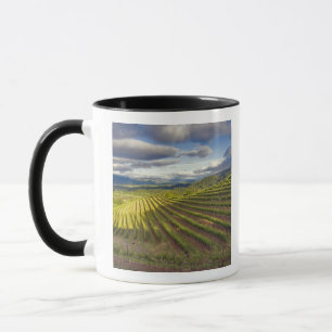 Tasse Vignoble. Vallée de Napa. Napa. Comté de Napa,