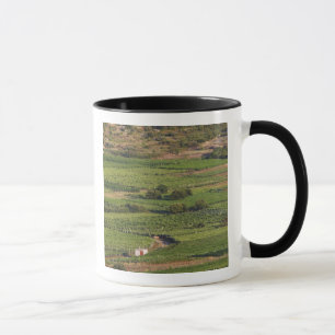 Tasse vignobles de Smokvica sur Korcula depuis la Toreta