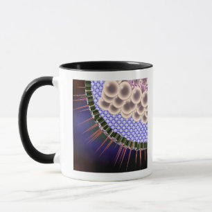 Tasse Virus du herpès
