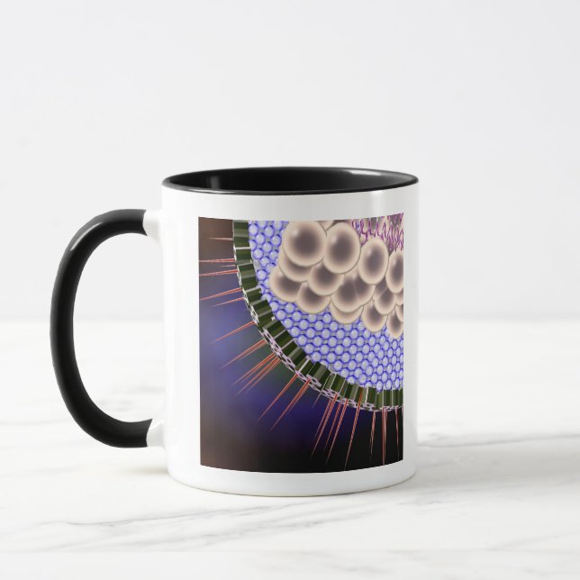 Tasse Virus du herpès (Gauche)