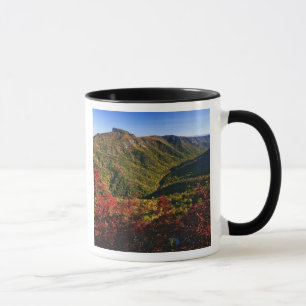 Tasse Vue automnale de la gorge de Linville souvent appe