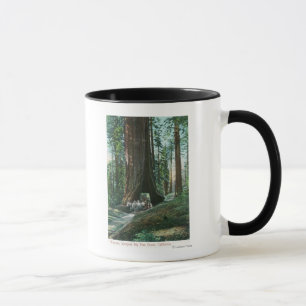 Tasse Vue de chariot de cheval sous l'arbre de Wawona