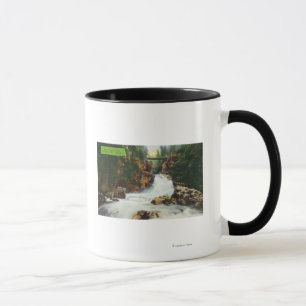 Tasse Vue des automnes de canyon de Lynn