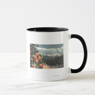 Tasse Vue d'un verger orange avec des montagnes