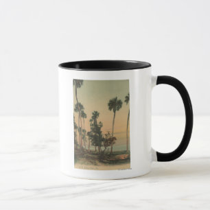 Tasse Vue sur le rivage de la rivière Indian avec des pa