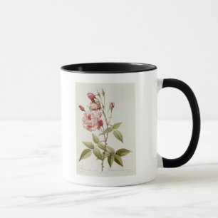 Tasse Vulgaris indica de Rosa, des 'roses de Les