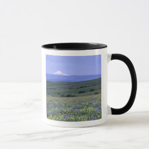 Tasse WA, comté de Klickitat, Dalles Mountain Ranch,
