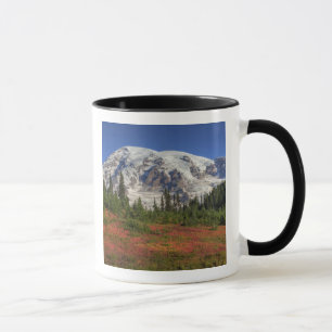 Tasse WA, Parc national du mont Rainier, Paradise Valley