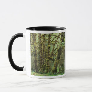 Tasse WA, parc national Olympique, forêt pluviale de Hoh