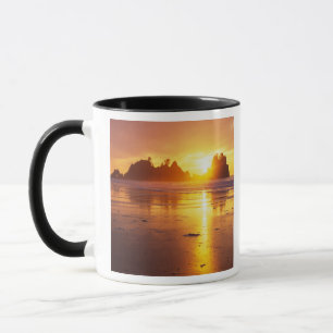 Tasse WA, parc national Olympique, plage Shi Shi au couc