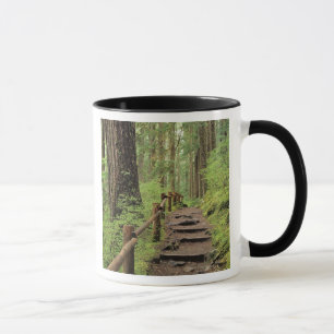 Tasse WA, parc national olympique, vallée de Sol Duc, f