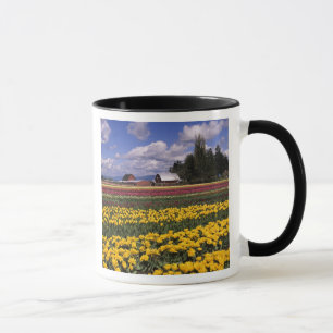 Tasse WA, Vallée de Skagit, Tulipe de la vallée de Skagi