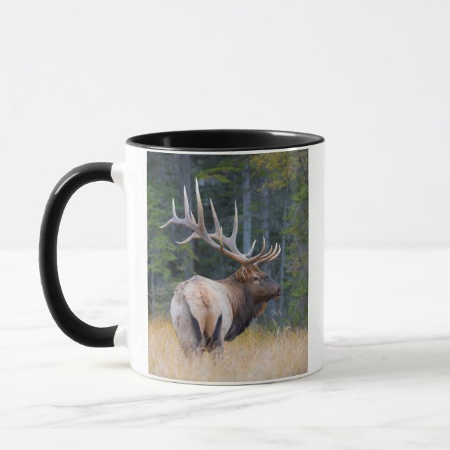 Tasse Wapiti mâle des Montagnes Rocheuses (Gauche)