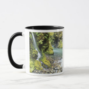 Tasse Washington, Parc national Olympique, Saisonnière