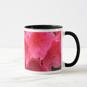 Tasse Washington, Seattle, Puget Sound, Parc Discovery