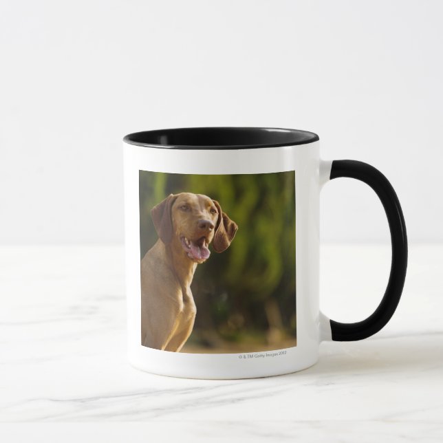Tasse Weimaraner (Droite)