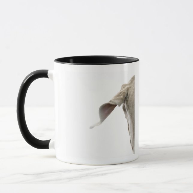 Tasse Weimaraner 2 (Gauche)
