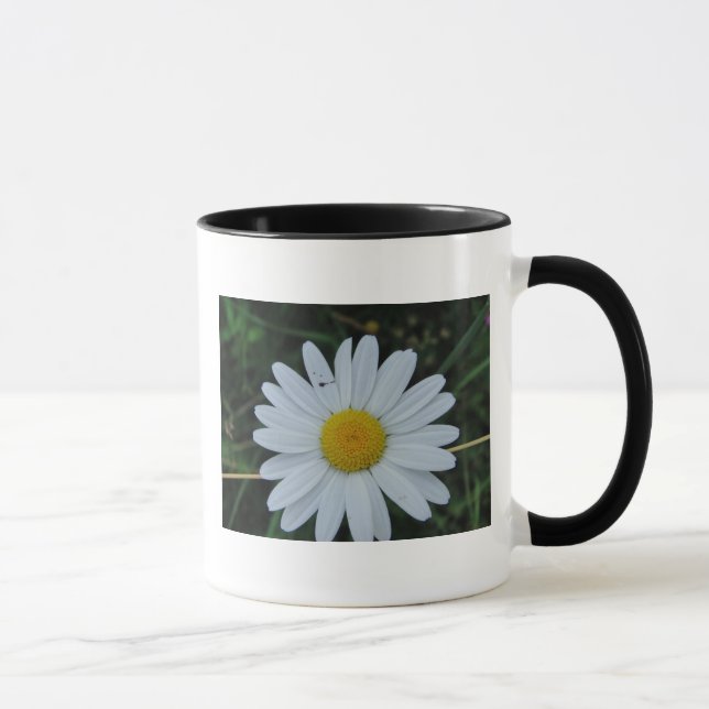 Tasse weisse Margeritenblüte (Droite)