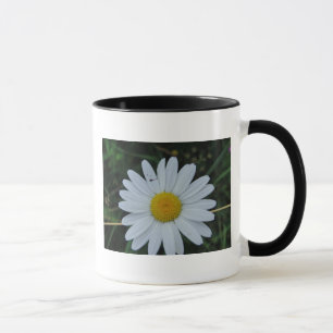 Tasse weisse Margeritenblüte Mug