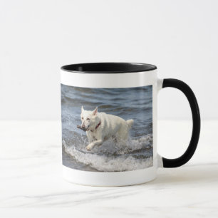 Tasse White German Shepard sur le lac George