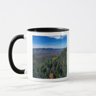 Tasse White Mountain N.F., NH. La vue de près