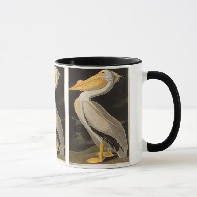 Tasse White Pelican, John James Audubon (Droite)