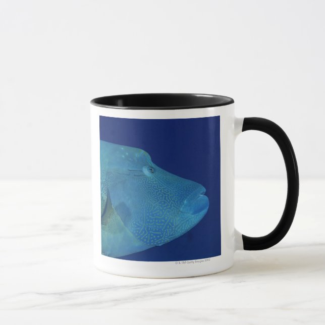 Tasse Wrasse 2 de Humphead (Droite)