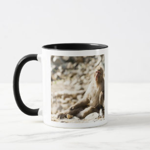 Tasse Yamanouchi, Chubu, préfecture de Nagano, Japon 2