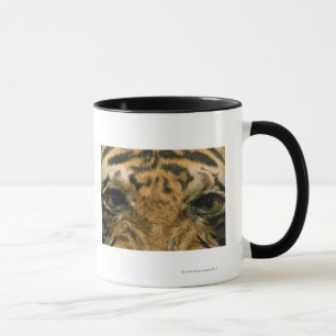Tasse Yeux de tigre
