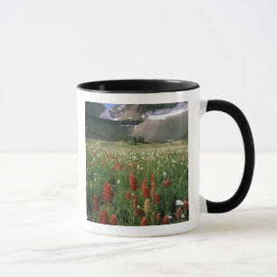 TASSE ZONE SAUVAGE DU MONT TIMPANOGOS, UT, US,