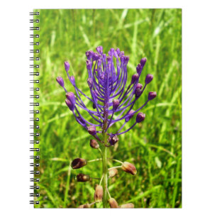 Tassel-Hyacinth Spiral Photo Notebook
