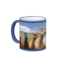 Tasses d'alpaga pour lui