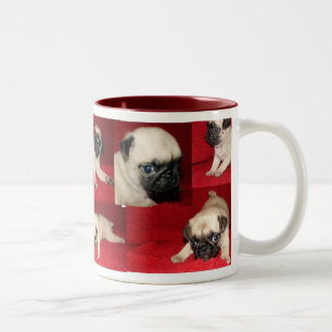 Tasses de carlin