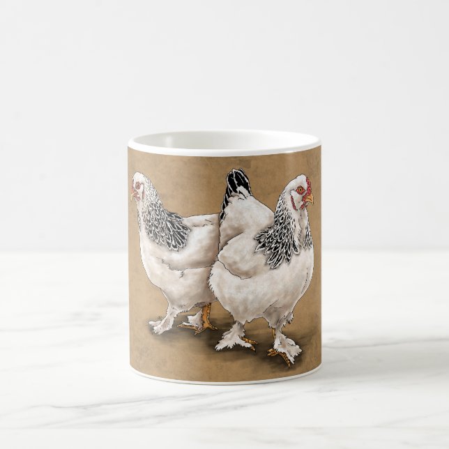 Tasses de poulet de Brahma (Centre)