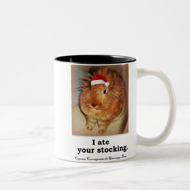 Tasses désapprobatrices de ton du lapin deux (Droit)