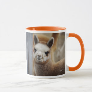 Tasses mignonnes d'alpaga